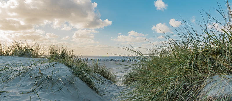 Urlaubsgewährung und Arbeitgeberpflichten
